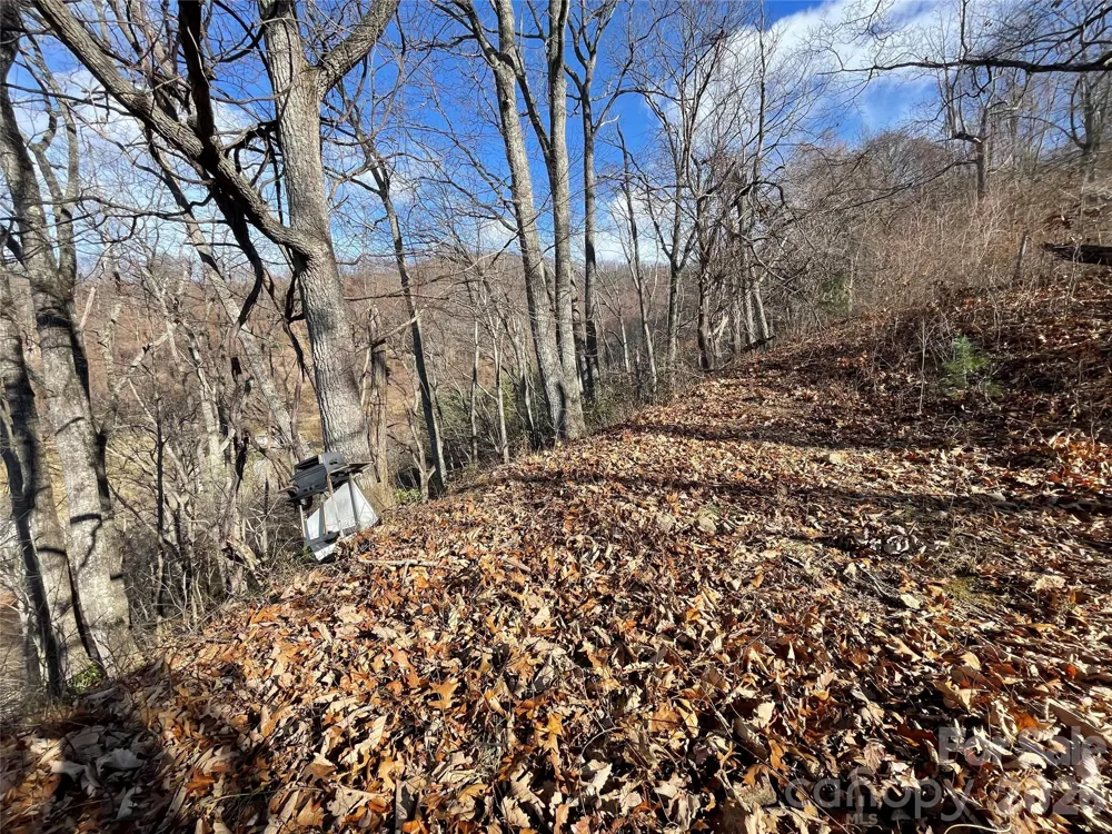 00 Wilson Cove Road Canton, NC 28716