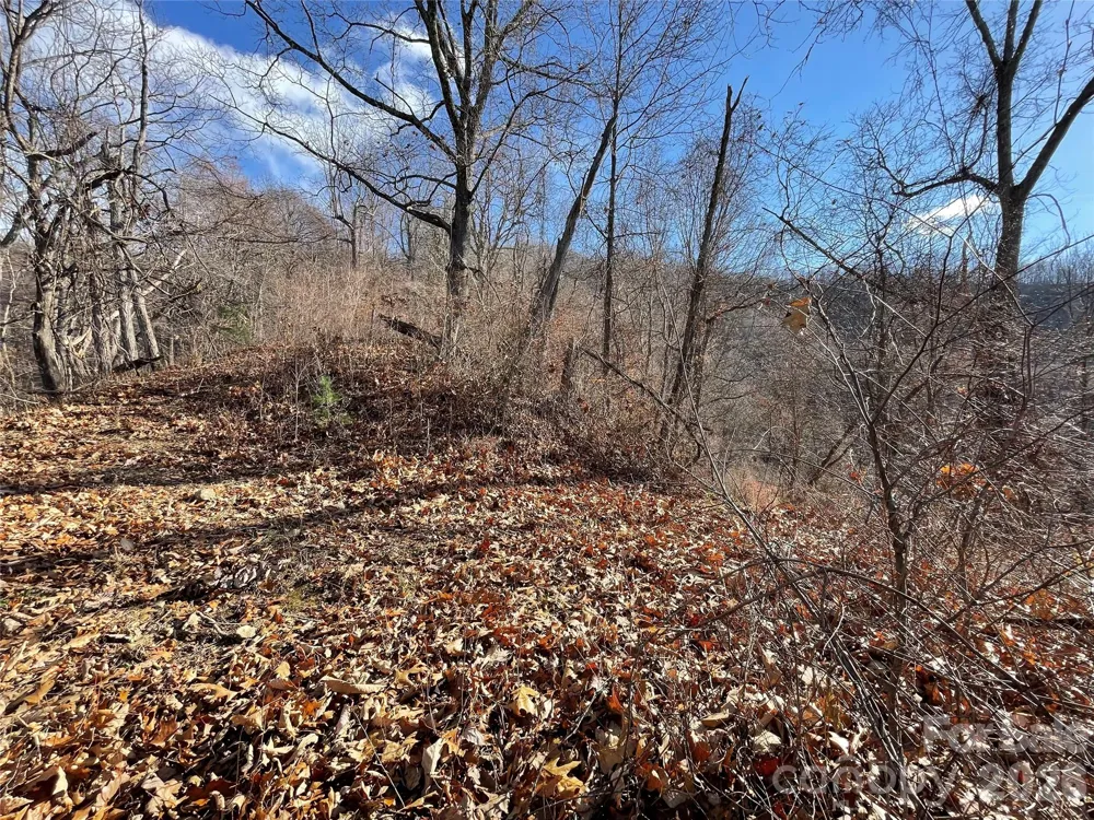 00 Wilson Cove Road Canton, NC 28716