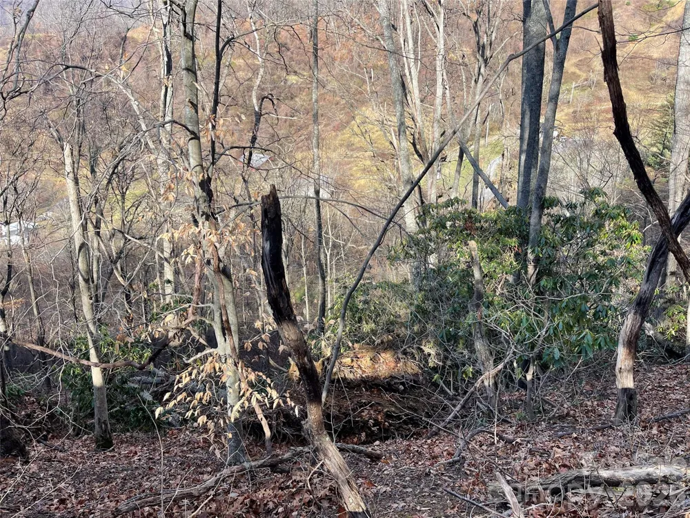 00 Wilson Cove Road Canton, NC 28716