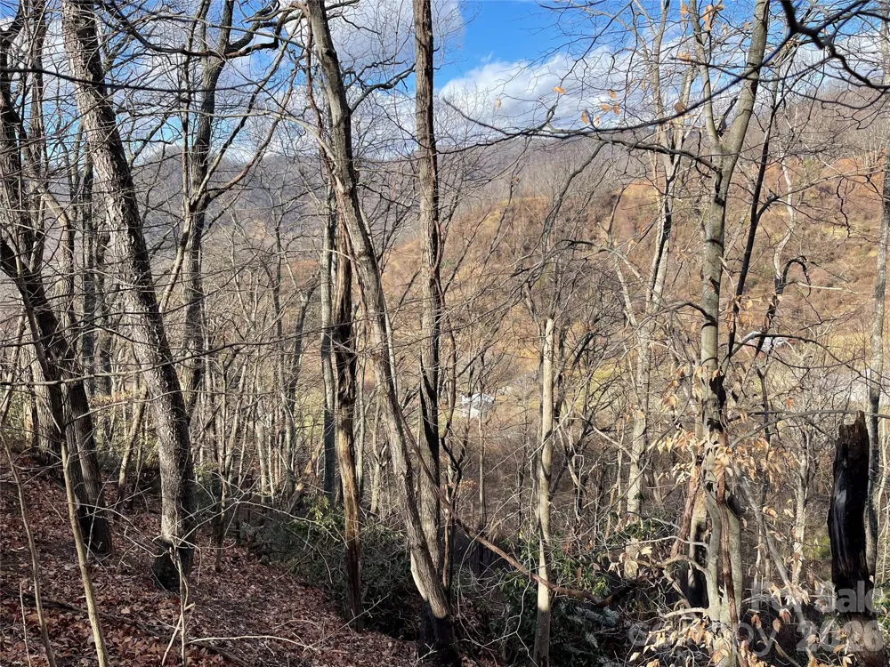 00 Wilson Cove Road Canton, NC 28716