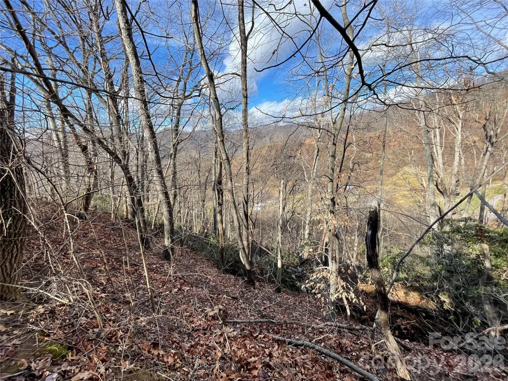 00 Wilson Cove Road Canton, NC 28716