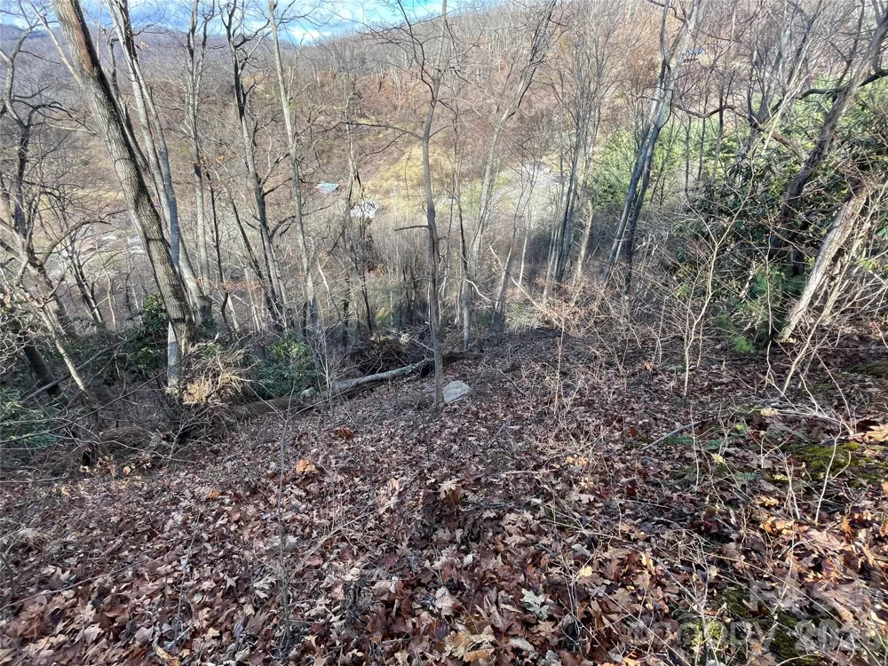 00 Wilson Cove Road Canton, NC 28716