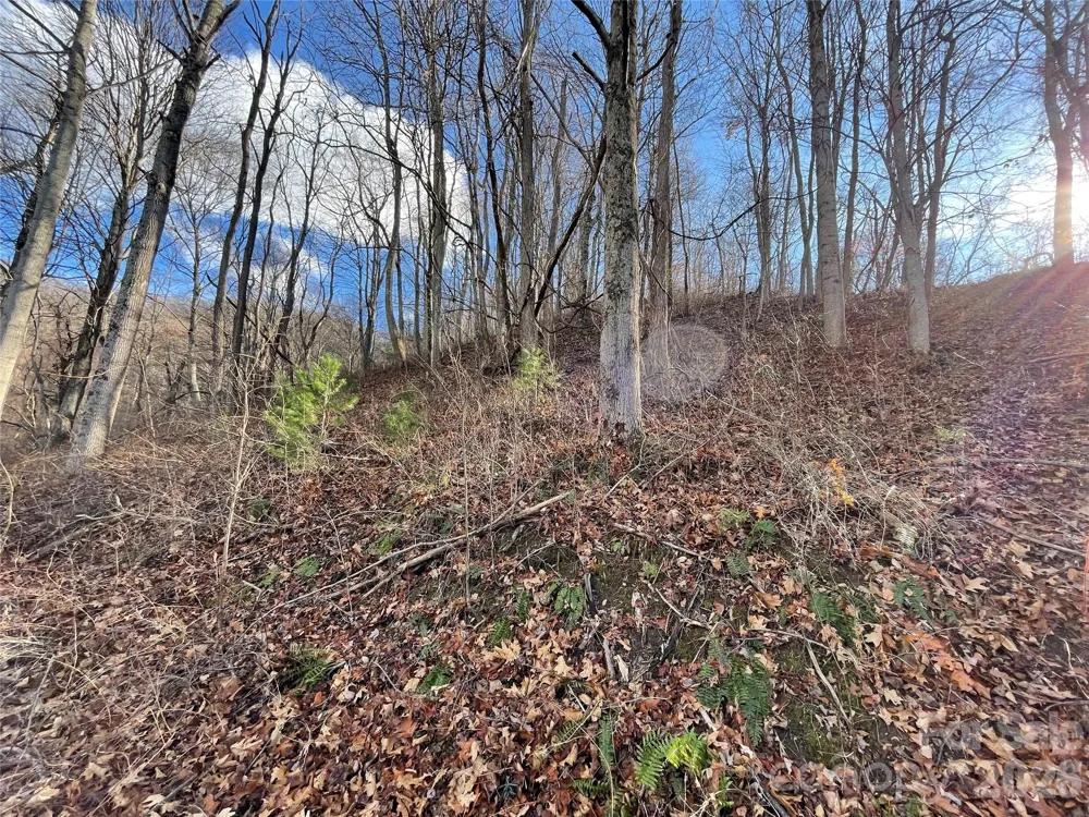 00 Wilson Cove Road Canton, NC 28716
