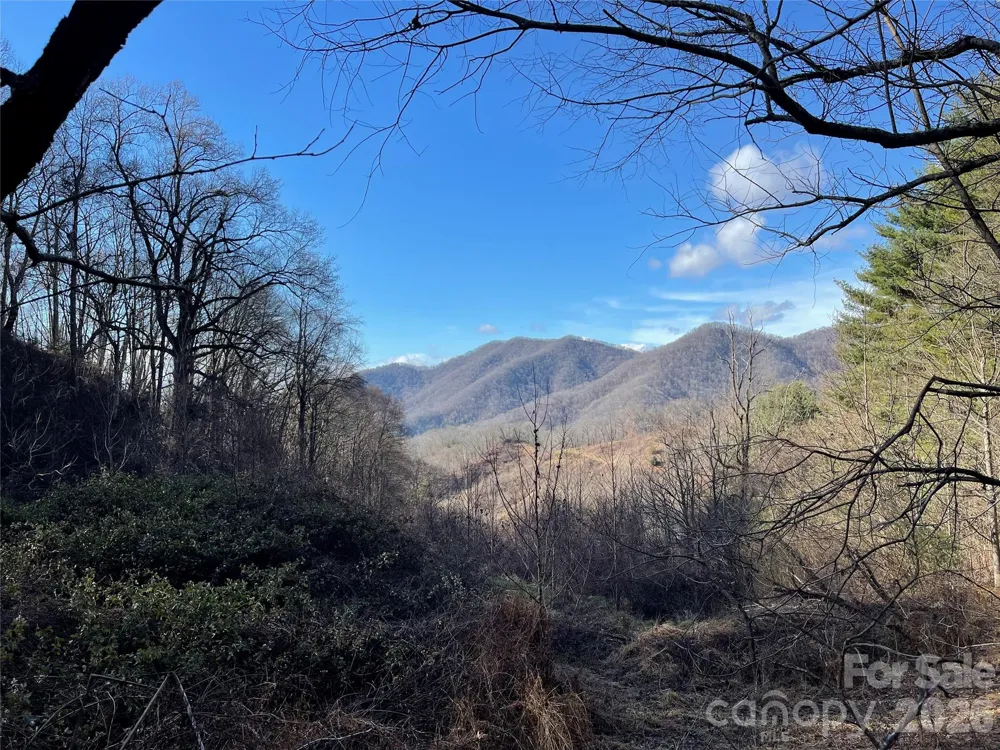 00 Wilson Cove Road Canton, NC 28716