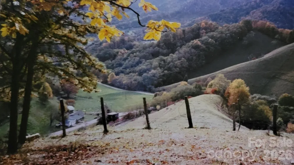 00 Wilson Cove Road Canton, NC 28716