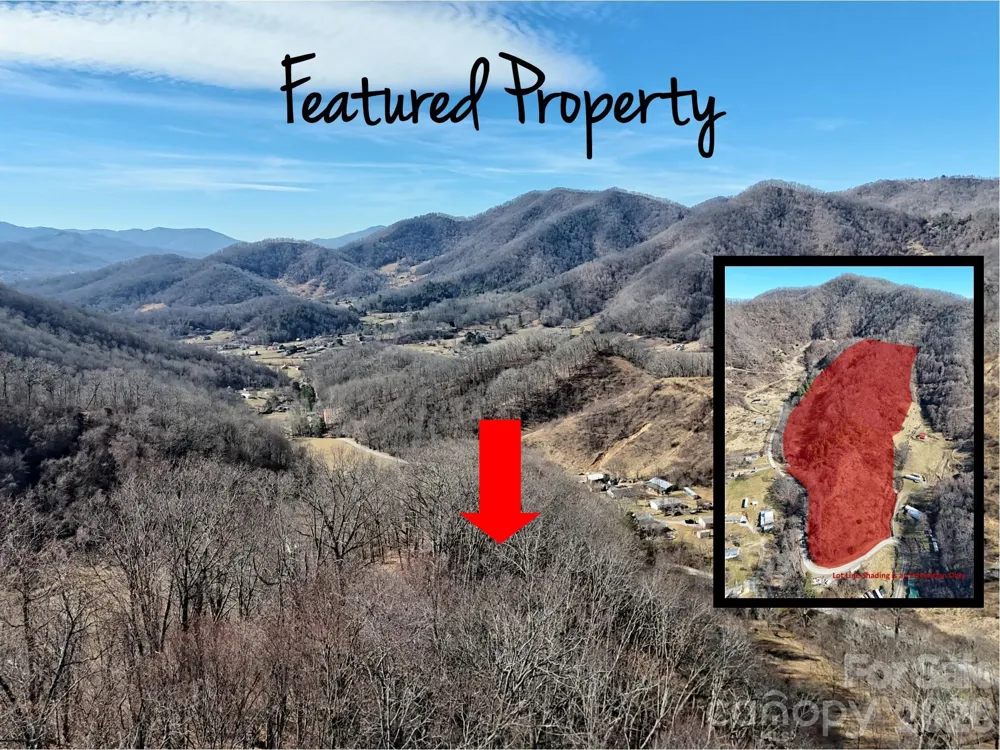 00 Wilson Cove Road Canton, NC 28716