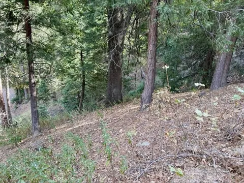 Burnt Mill Canyon Road