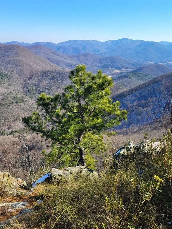 325 Scataway Road Hiawassee, GA 30546