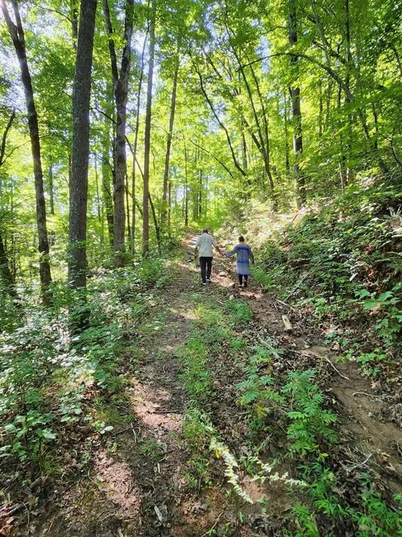325 Scataway Road Hiawassee, GA 30546
