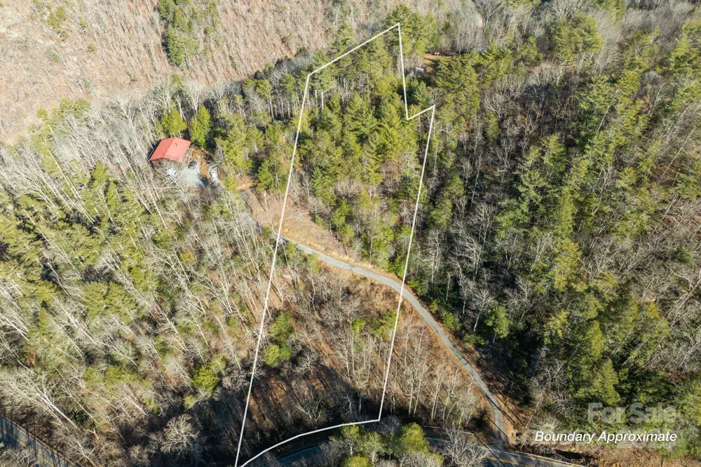 131 Ivy Bluff Road #3 Marshall, NC 28753