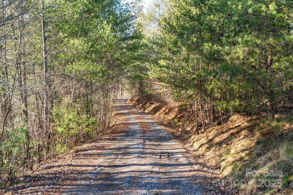 131 Ivy Bluff Road #3 Marshall, NC 28753