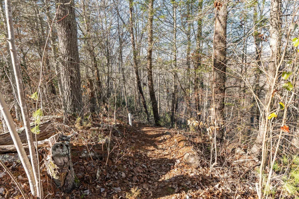 131 Ivy Bluff Road #3 Marshall, NC 28753