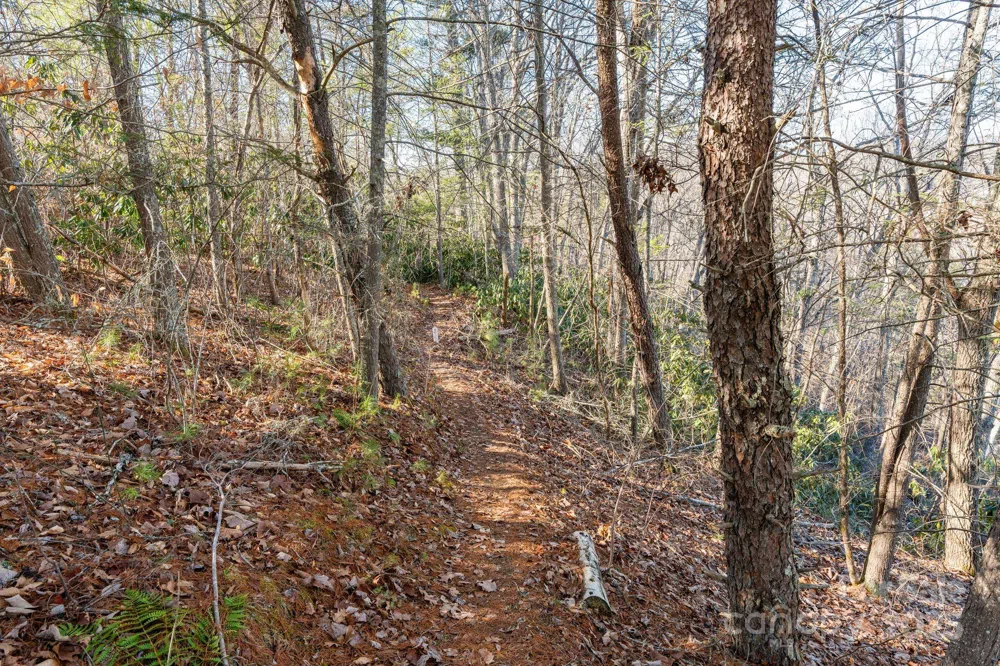 131 Ivy Bluff Road #3 Marshall, NC 28753