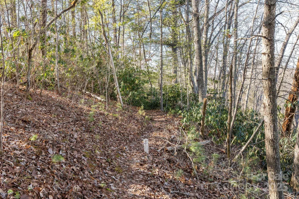 131 Ivy Bluff Road #3 Marshall, NC 28753