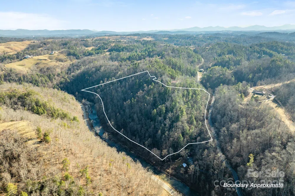 131 Ivy Bluff Road #3 Marshall, NC 28753