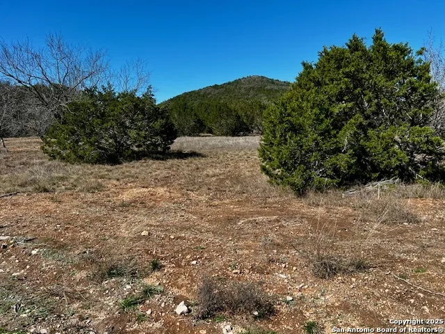 250 REDBUD RD Concan, TX 78838
