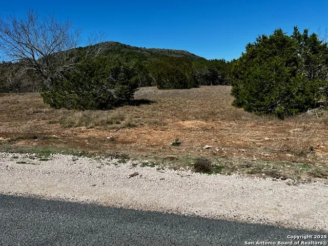 250 REDBUD RD Concan, TX 78838
