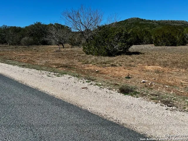 250 REDBUD RD Concan, TX 78838
