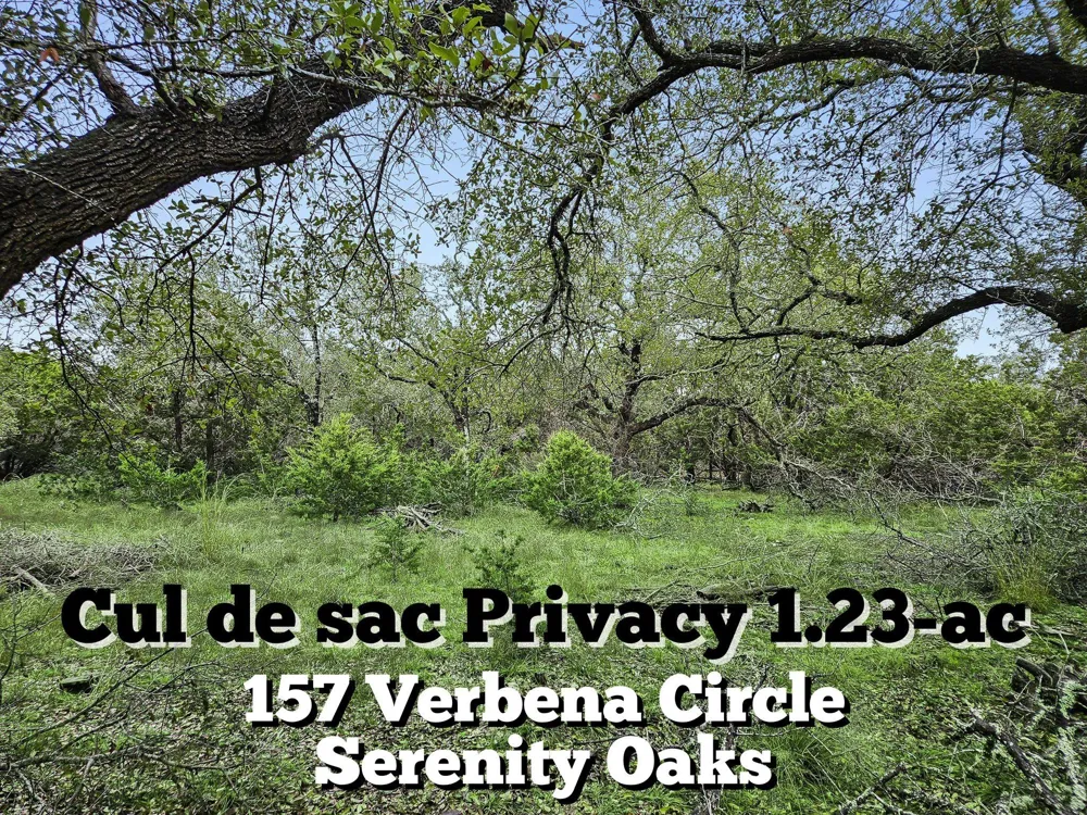 157 Verbena Circle Spring Branch, TX 78070
