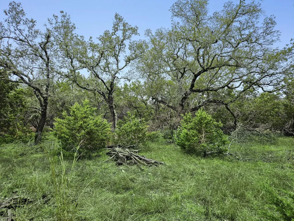 157 Verbena Circle Spring Branch, TX 78070