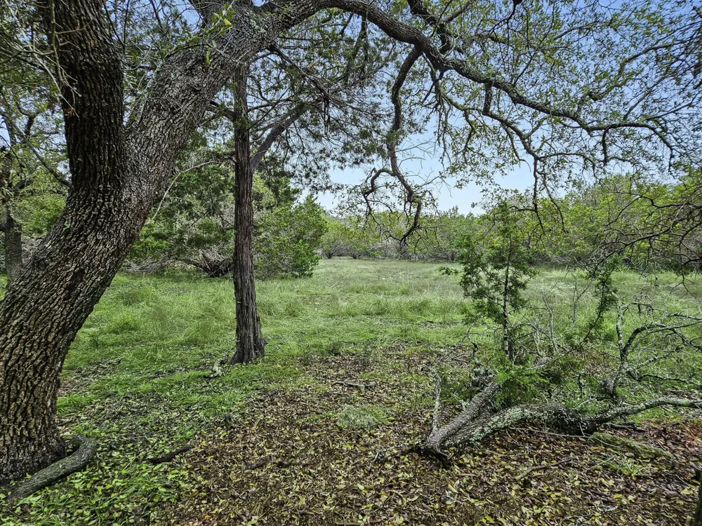 157 Verbena Circle Spring Branch, TX 78070