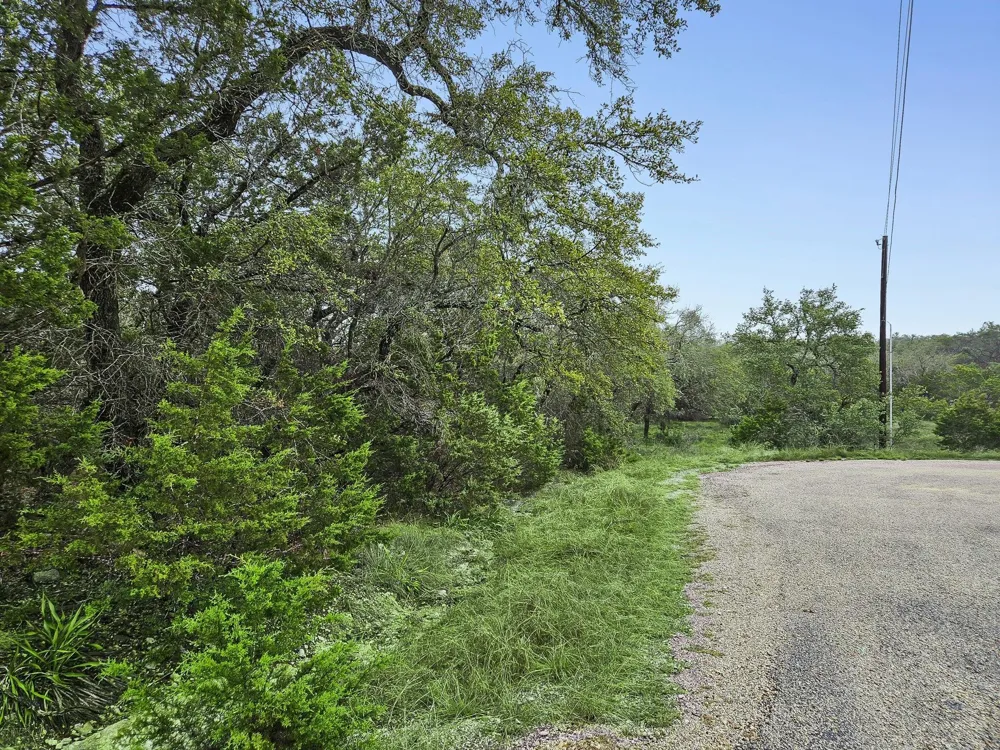 157 Verbena Circle Spring Branch, TX 78070