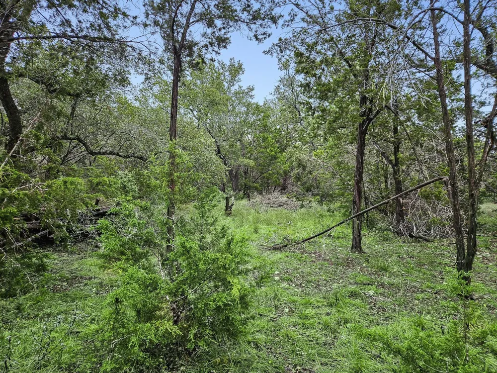 157 Verbena Circle Spring Branch, TX 78070