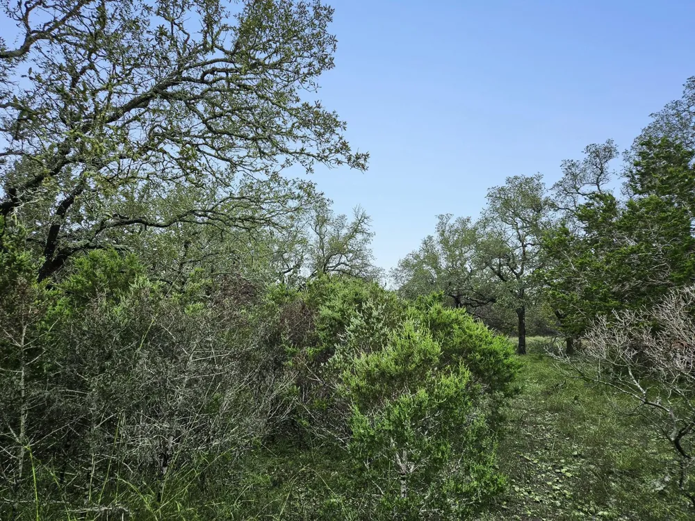 157 Verbena Circle Spring Branch, TX 78070