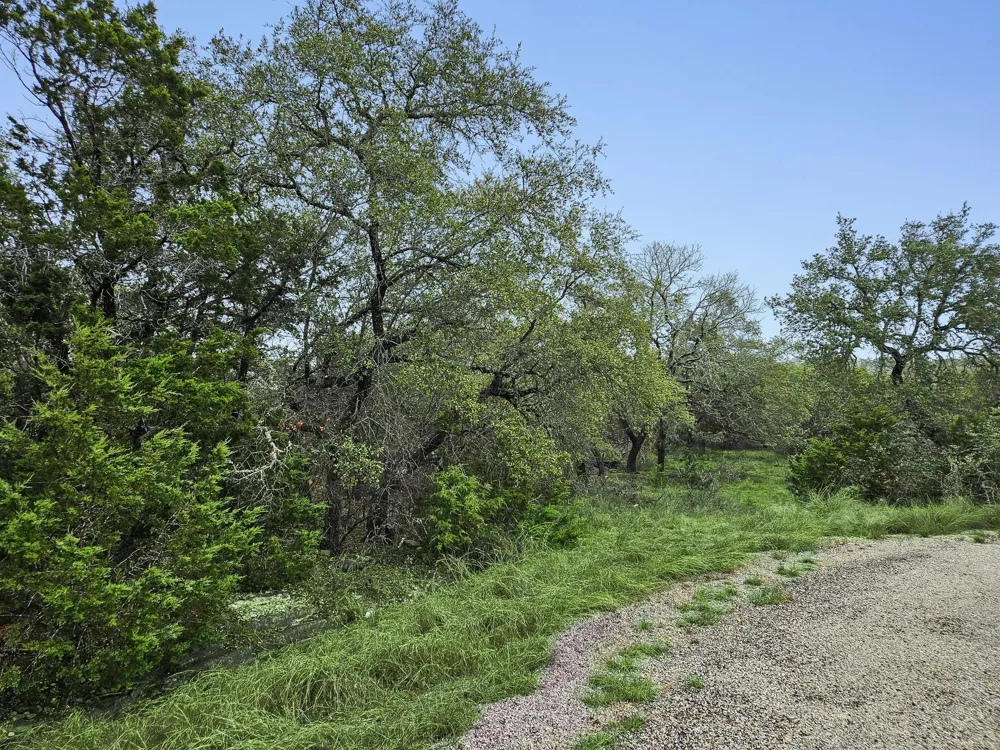 157 Verbena Circle Spring Branch, TX 78070