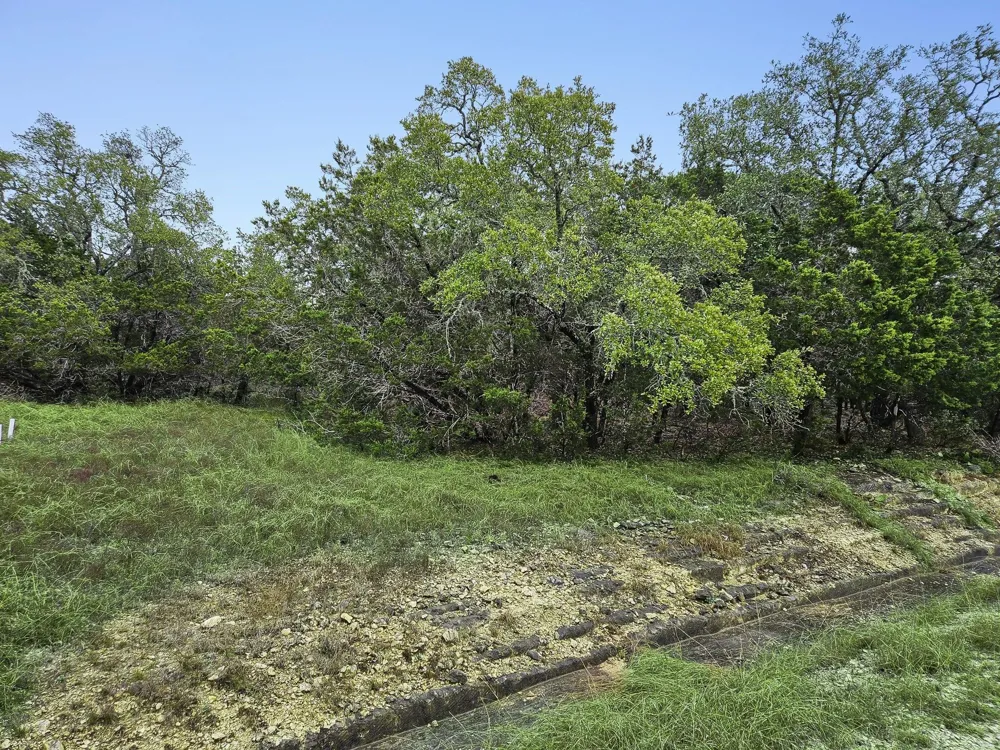 157 Verbena Circle Spring Branch, TX 78070