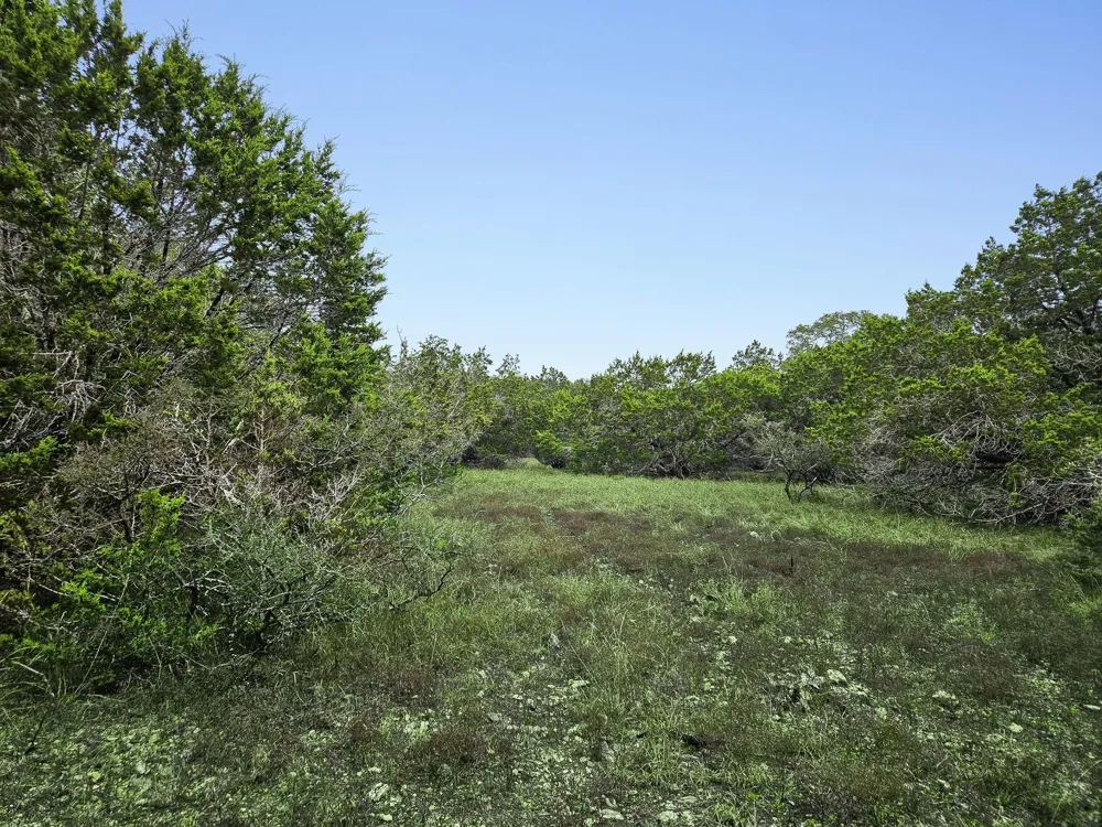 157 Verbena Circle Spring Branch, TX 78070