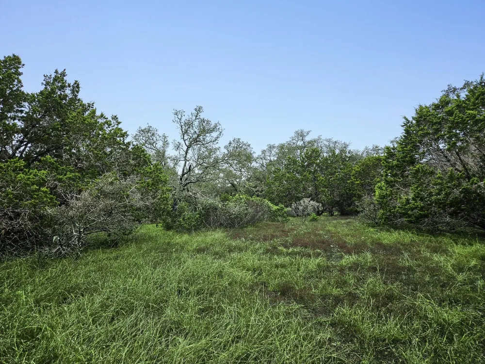 157 Verbena Circle Spring Branch, TX 78070