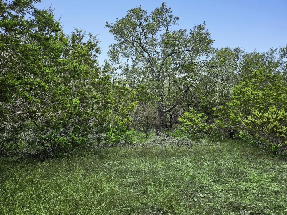157 Verbena Circle Spring Branch, TX 78070