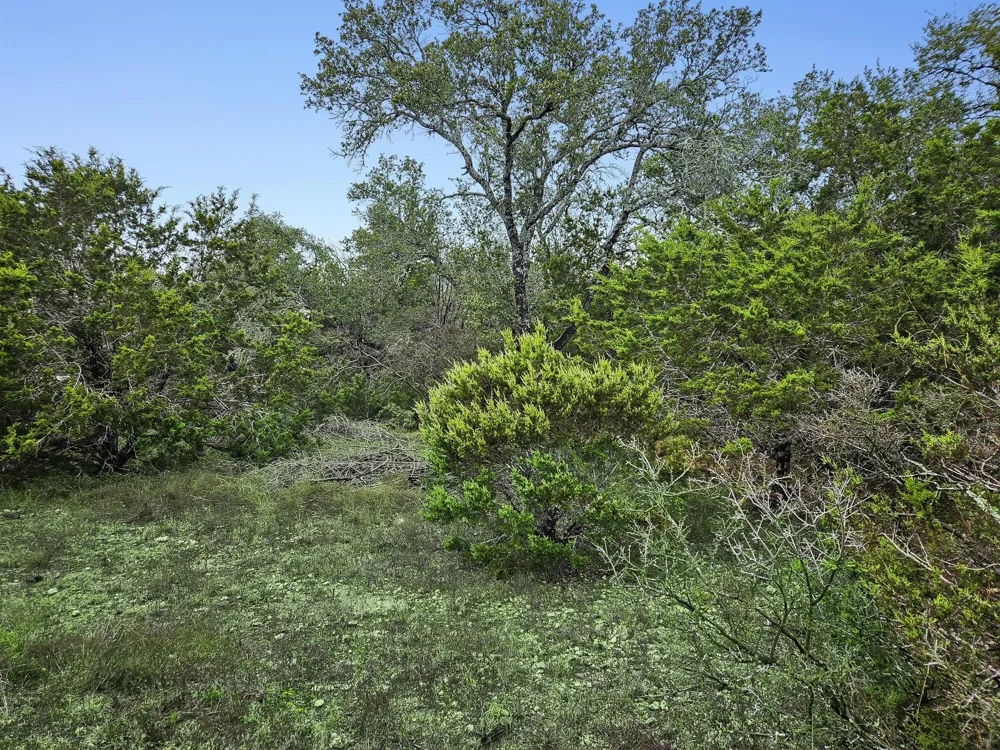 157 Verbena Circle Spring Branch, TX 78070