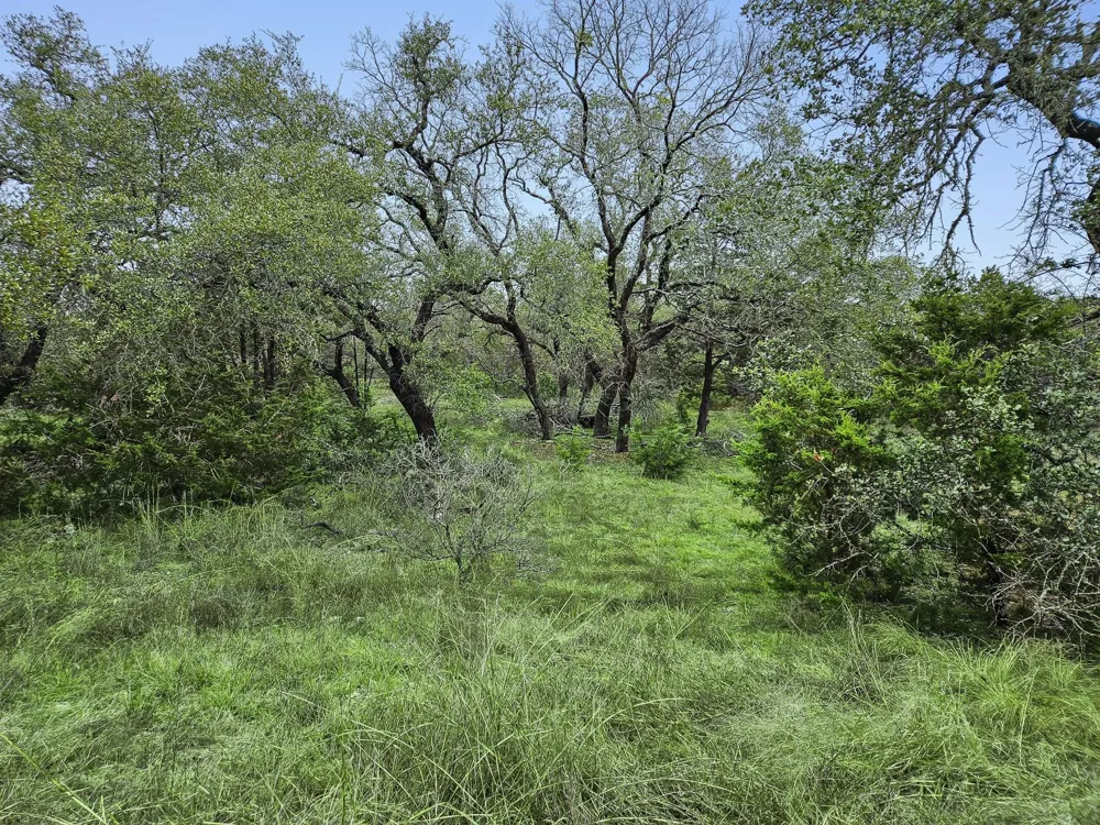157 Verbena Circle Spring Branch, TX 78070