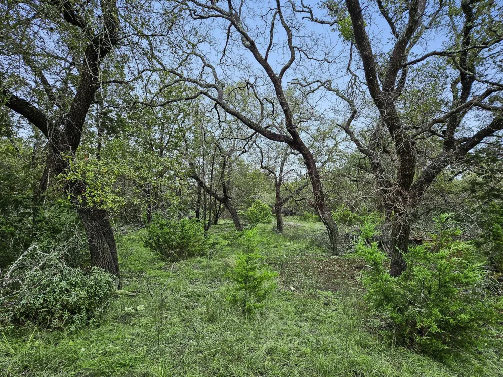 157 Verbena Circle Spring Branch, TX 78070