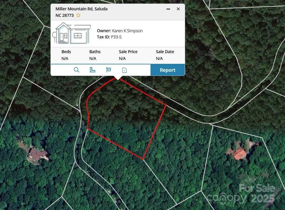 0000 TBD Miller Mountain Road Saluda, NC 28773