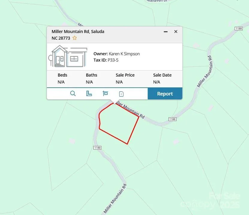 0000 TBD Miller Mountain Road Saluda, NC 28773