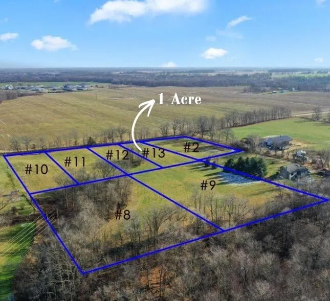 Parcel 13 Kingston Road Ionia, MI 48846
