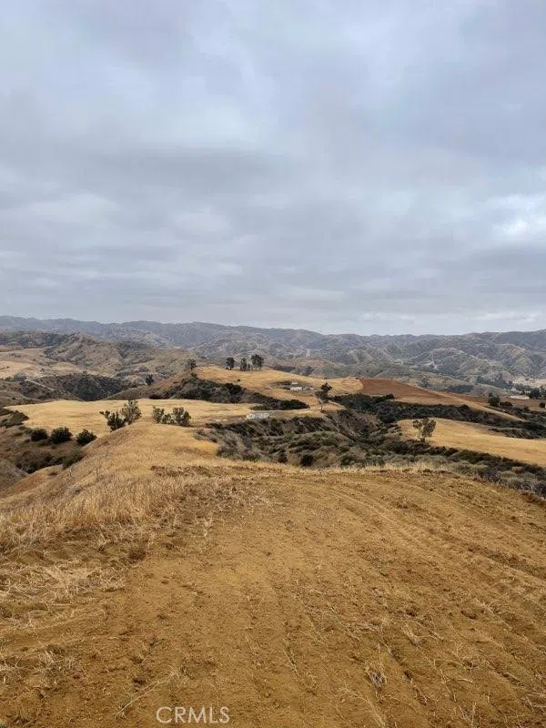 Edgemont Drive Redlands, CA 92373