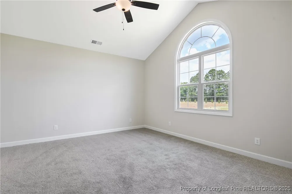 3018 Dinwiddle Drive Wade, NC 28395