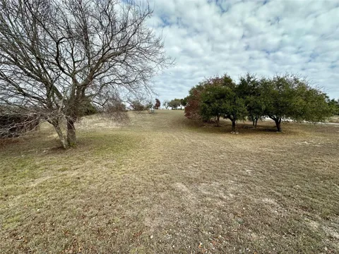 24 Andy's Point