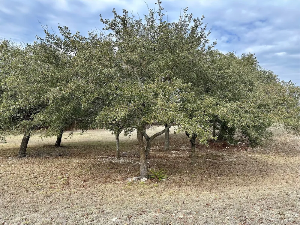 24 Andy's Point Burnet, TX 78611