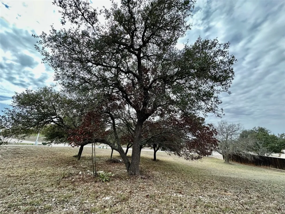 24 Andy's Point Burnet, TX 78611