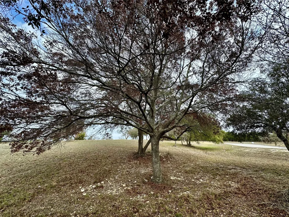 24 Andy's Point Burnet, TX 78611