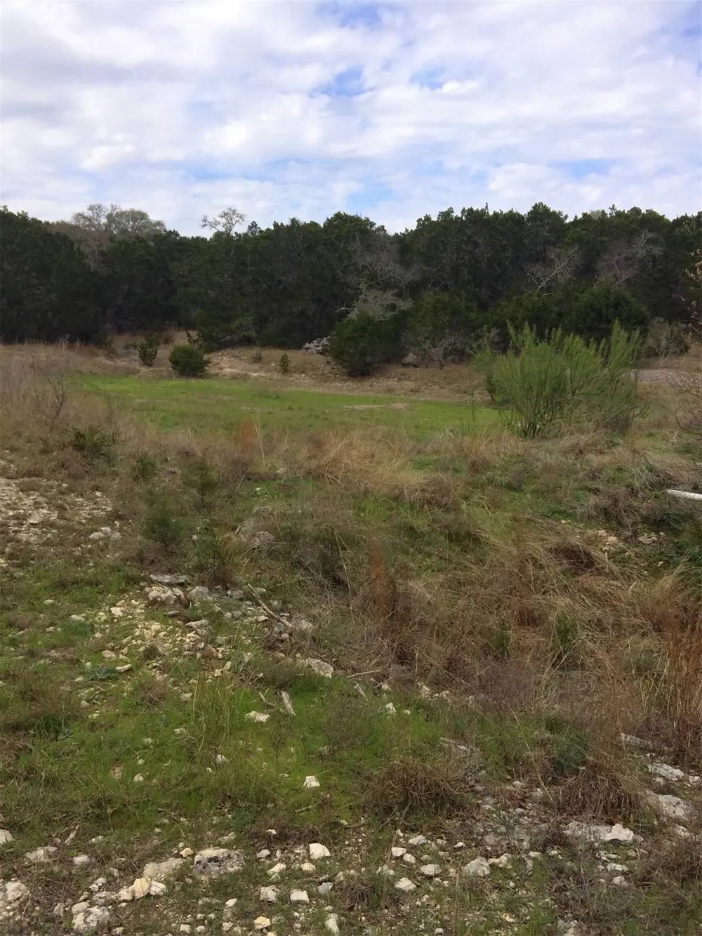 150 Cave Springs Drive Wimberley, TX 78676