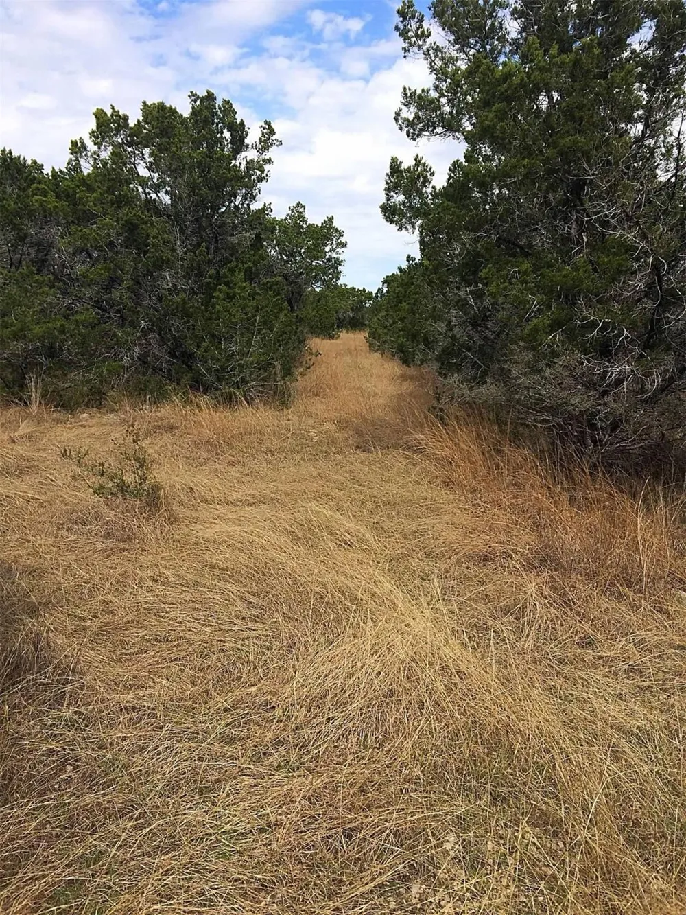 150 Cave Springs Drive Wimberley, TX 78676