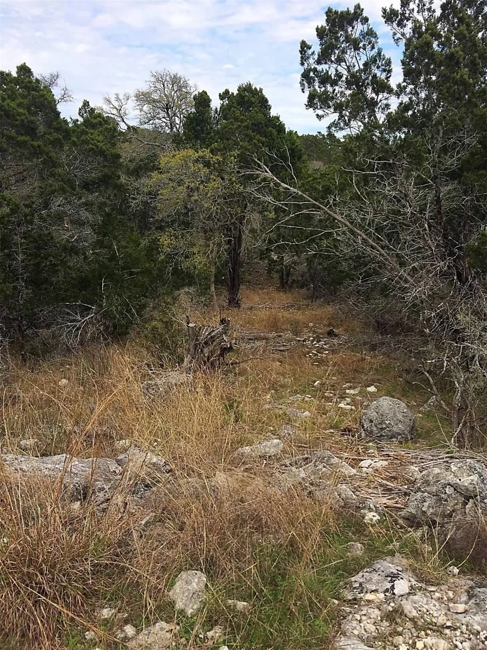 150 Cave Springs Drive Wimberley, TX 78676