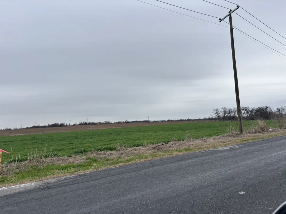 1901 CR332 COURT Jarrell, TX 76537
