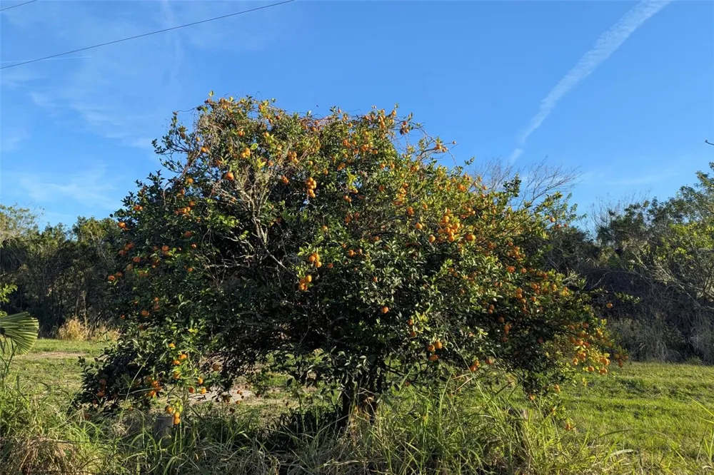 0 DAVIS ROAD Mims, FL 32754